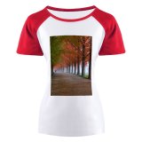 yanfind Women's Sleeve Raglan T Shirt Short Autumn Branches Fall Foliage Leaves Idyllic Landscape Outdoors Park Peaceful Perspective_