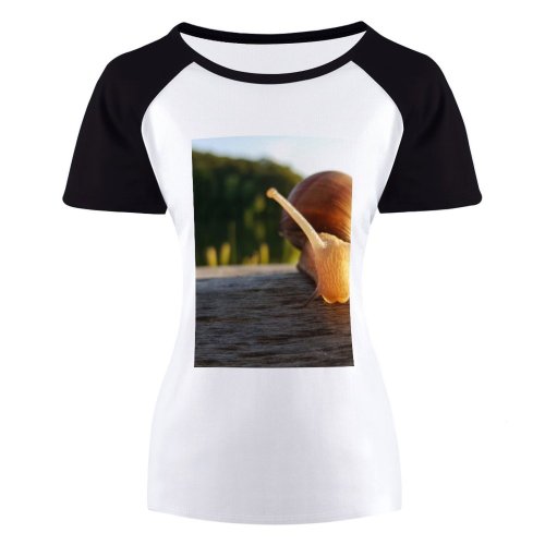 yanfind Women's Sleeve Raglan T Shirt Short Depth Field Focus Invertebrate Outdoors Shell Slimy Slow Snail Wild