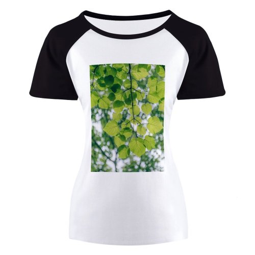 yanfind Women's Sleeve Raglan T Shirt Short Branch Ecology Flora Leaf Outdoors