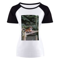 yanfind Women's Sleeve Raglan T Shirt Short Big Cat Fur Jungle Outdoors Park Stripes Trees Wild Wildlife