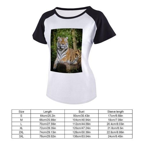 yanfind Women's Sleeve Raglan T Shirt Short Big Cat Carnivore Felidae Fur Plants Stripes Tigris Trunk Wild Wildlife