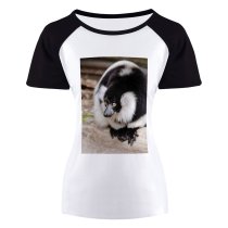 yanfind Women's Sleeve Raglan T Shirt Short Endangered Eyes Fur Furry Glare Lemur Primate Ruffed Sit Wild Wildlife