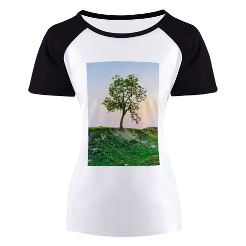 yanfind Women's Sleeve Raglan T Shirt Short Branches Countryside Grass Growth Idyllic Landscape Leaves Outdoors Rural Scenic Sky Tranquil