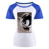 yanfind Women's Sleeve Raglan T Shirt Short Endangered Eyes Fur Furry Glare Lemur Primate Ruffed Sit Wild Wildlife