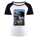 yanfind Women's Sleeve Raglan T Shirt Short Adorable Boder Collie Eyes Cute Dog Fur Furry Outdoors Pet River Rocks
