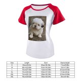 yanfind Women's Sleeve Raglan T Shirt Short Adorable Cute Domesticated Fur Little Outdoors Pet Puppy Shih Tzu Young