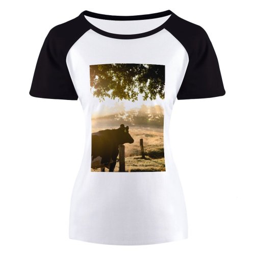 yanfind Women's Sleeve Raglan T Shirt Short Cattle Countryside Cow Dawn Early Morning Farm Farming Farmland Fence Field Fog