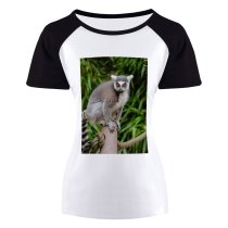 yanfind Women's Sleeve Raglan T Shirt Short Cute Fur Grass Grey Lemur Little Outdoors Portrait Primate Wild Wildlife Young