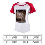 yanfind Women's Sleeve Raglan T Shirt Short Adorable Box Cardboard Carton Cat Curiosity Cute Funny Fur Kitten Kitty Little