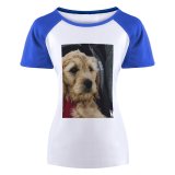 yanfind Women's Sleeve Raglan T Shirt Short Adorable Carrying Curiosity Cute Dog Fur Outdoors Pet Wear