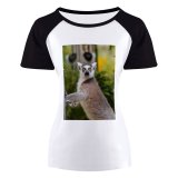 yanfind Women's Sleeve Raglan T Shirt Short Fur Furry Glare Lemur Primate Wild Wildlife