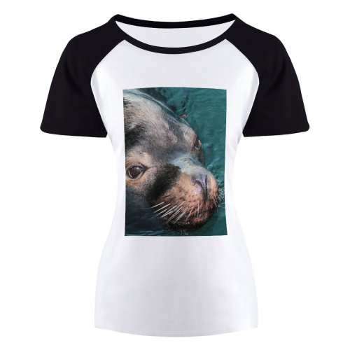 yanfind Women's Sleeve Raglan T Shirt Short Cute Ocean Sea Seal Wildlife