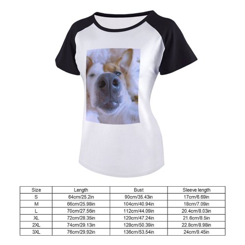 yanfind Women's Sleeve Raglan T Shirt Short Adorable Upp Cute Depth Field Dog Focus Fur Nose Pet Whiskers