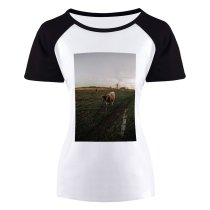 yanfind Women's Sleeve Raglan T Shirt Short Agriculture Cattle Countryside Cow Farm Farmland Field Grass Grassland Rural