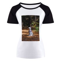 yanfind Women's Sleeve Raglan T Shirt Short Adorable Canidae Cute Dog Forest Outdoors Pet Rest Resting Sit Swiss Woods