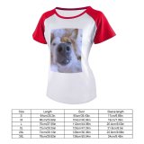 yanfind Women's Sleeve Raglan T Shirt Short Adorable Upp Cute Depth Field Dog Focus Fur Nose Pet Whiskers