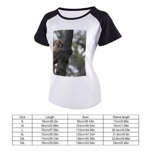 yanfind Women's Sleeve Raglan T Shirt Short Barbary Macaque Cute Fur Furry Juvenile Monkey Outdoors Portrait Primate Tail