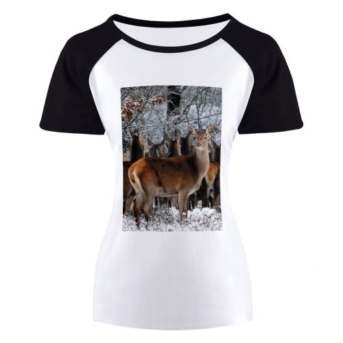 yanfind Women's Sleeve Raglan T Shirt Short Countryside Deers Forest Fur Outdoors Deer Roe Season Snow Trees