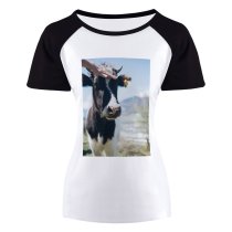 yanfind Women's Sleeve Raglan T Shirt Short Agriculture Cattle Cow