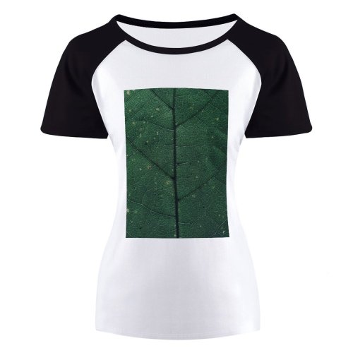 yanfind Women's Sleeve Raglan T Shirt Short Asymmetry Chlorophyll Details Foliage Leaf Macro Natural Network Photosynthesis Structure Texture