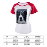 yanfind Women's Sleeve Raglan T Shirt Short Adorable Border Collie Cute Dog Eyes Fur Outdoors Pedigree Pet Portrait Snow