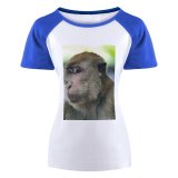 yanfind Women's Sleeve Raglan T Shirt Short Eyes Focus Fur Monkey Wild Wildlife