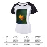 yanfind Women's Sleeve Raglan T Shirt Short Dark Daylight Daytime Dry Leaf Focus Growth Natural Outdoors