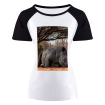 yanfind Women's Sleeve Raglan T Shirt Short Endangered Species Portrait Rhinoceros Safari Savanna Wild Wildlife Wood