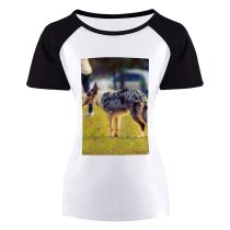 yanfind Women's Sleeve Raglan T Shirt Short Adorable Cute Dog Focus Friendship Fur Grass Loyalty Outdoors Pedigree Pet Portrait