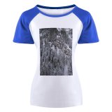 yanfind Women's Sleeve Raglan T Shirt Short Fir Trees Forest Freezing Frost Frosty Frozen Idyllic Landscape