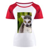 yanfind Women's Sleeve Raglan T Shirt Short Cute Fur Grey Leaves Lemur Outdoors Plant Primate Wild Wildlife