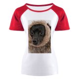 yanfind Women's Sleeve Raglan T Shirt Short Adorable Dog Cute Fashion Funny Fur Little Pedigree Pet Portrait Puppy