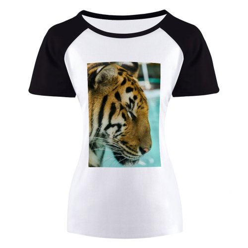 yanfind Women's Sleeve Raglan T Shirt Short Big Cat Carnivore Pool Wild Wildlife