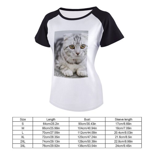 yanfind Women's Sleeve Raglan T Shirt Short Adorable Cat Cats Cute Grey Kitten Pet
