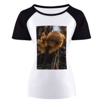 yanfind Women's Sleeve Raglan T Shirt Short Boletus Daylight Detail Edible Forest Mushroom Fungus Macro Outdoors Toadstool Wild
