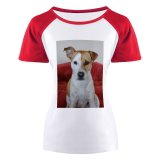 yanfind Women's Sleeve Raglan T Shirt Short Adorable Pit Bull Cute Dog Pet Puppy Sit