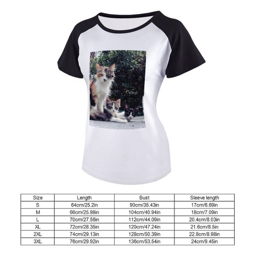 yanfind Women's Sleeve Raglan T Shirt Short Cats Cute Fur Furry Kittens Kitties Sit