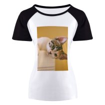 yanfind Women's Sleeve Raglan T Shirt Short Adorable Cat Curiosity Cute Fur Kitten Kitty Little Pet Portrait Whiskers