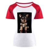yanfind Women's Sleeve Raglan T Shirt Short Adorable Cute Dog Pet Puppy Sit Yorkshire