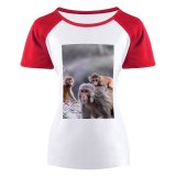 yanfind Women's Sleeve Raglan T Shirt Short Cute Little Monkeys Primate Wildlife