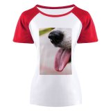yanfind Women's Sleeve Raglan T Shirt Short Cute Dog Fur Little Outdoors Pet Portrait Puppy Young