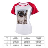 yanfind Women's Sleeve Raglan T Shirt Short Adorable Portrait Canidae Cute Dog Face Human's Friend Little Camera_