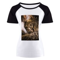 yanfind Women's Sleeve Raglan T Shirt Short Adorable Cat Cute Downy Fur Furry Kitten Kitty Little Nose Pet