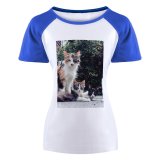 yanfind Women's Sleeve Raglan T Shirt Short Cats Cute Fur Furry Kittens Kitties Sit