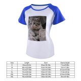 yanfind Women's Sleeve Raglan T Shirt Short Cat Face Cat's Eyes Daylight Focus Fur Furry Nose Pet Rocks Staring