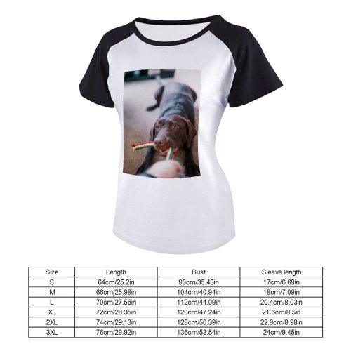 yanfind Women's Sleeve Raglan T Shirt Short Cute Dog Pet Play Toy