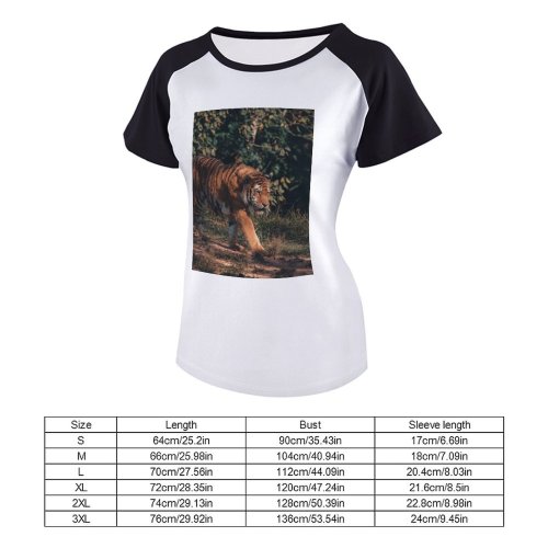 yanfind Women's Sleeve Raglan T Shirt Short Big Cat Carnivore Daylight Felidae Fur Grass Ground Hunter Jungle Leaves Outdoors