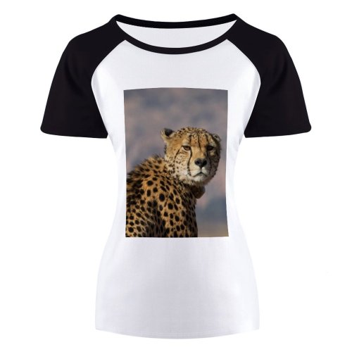 yanfind Women's Sleeve Raglan T Shirt Short Big Cat Carnivore Cheetah Daytime Dots Fur Hunter Outdoors Wild