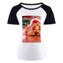 yanfind Women's Sleeve Raglan T Shirt Short Dog Pet Puppy Yorkie Yorkshire