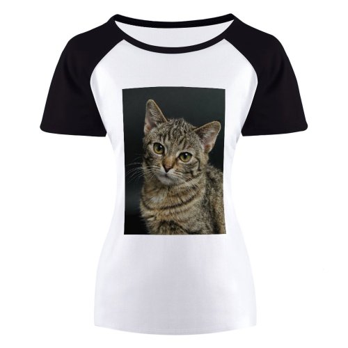 yanfind Women's Sleeve Raglan T Shirt Short Cat Face Cat's Eyes Focus Fur Furry Kitten Little Nose Pet Whiskers